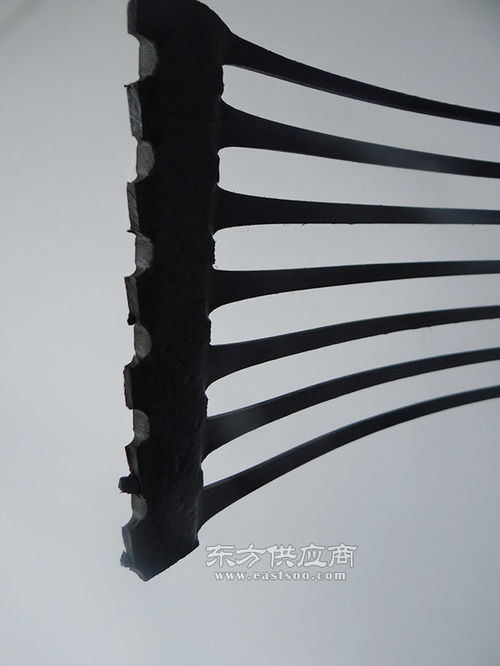 泰安正泽工程材料 多图 南平钢塑土工格栅厂家 土工格栅图片